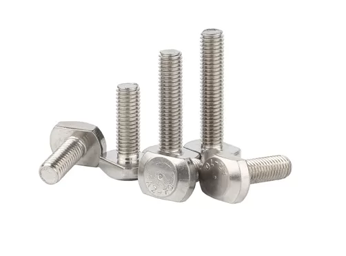Stainless Steel T Bolts