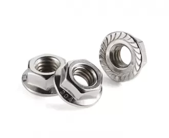 Stainless Steel Hex Flange Nuts